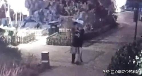 老街吃瓜视频,揭秘街头美食背后的故事