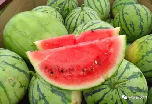 今日吃瓜怎么打开,轻松打开瓜界新视野