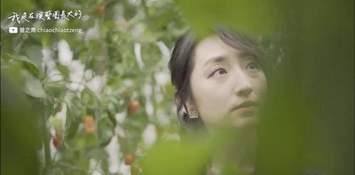 花花明星受伤,康复之路漫漫