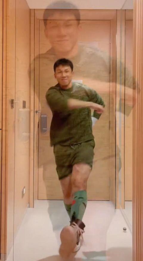 仙人掌网红跳舞,仙人掌网红的舞蹈魅力