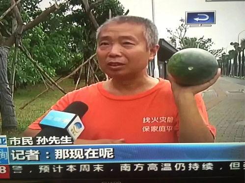 铁岭吃瓜群众事件