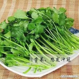 香菜管理爆料怎么做视频,视频制作攻略全解析