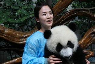 来熊猫基地的外国明星,共赴生态环保之旅”