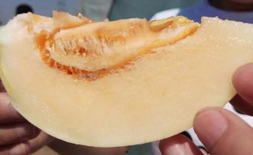 可杰瓜在哪吃,揭秘最佳品尝地