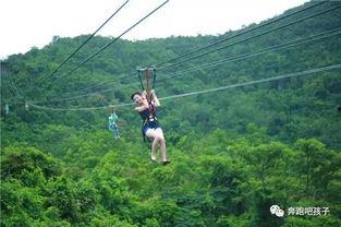 陕西网红轨道滑索造价,造价揭秘，畅享高空刺激之旅