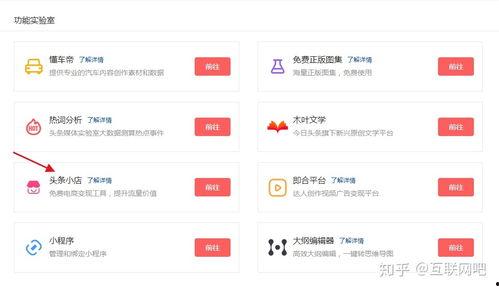 头条卖的东西是什么,引领潮流的时尚单品