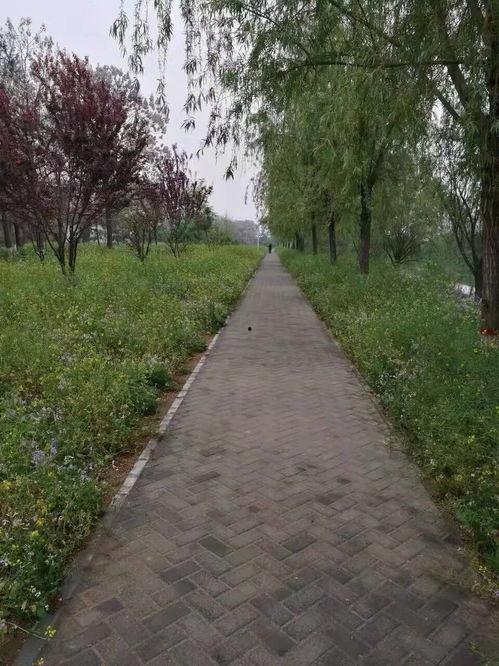 头条春景拍摄技巧视频