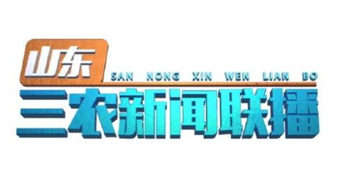 桃源农村今日头条新闻,乡村振兴战略下的新篇章