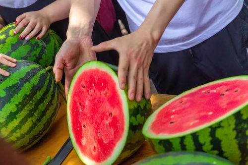 人民大学吃瓜,揭秘校园生活新潮流