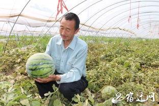 瓜哥吃瓜发高烧,揭秘网络热点的背后真相